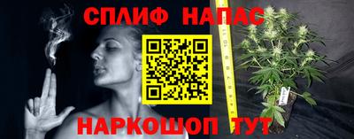 шишки Ипатово